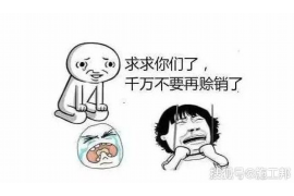 肇州债务清欠服务